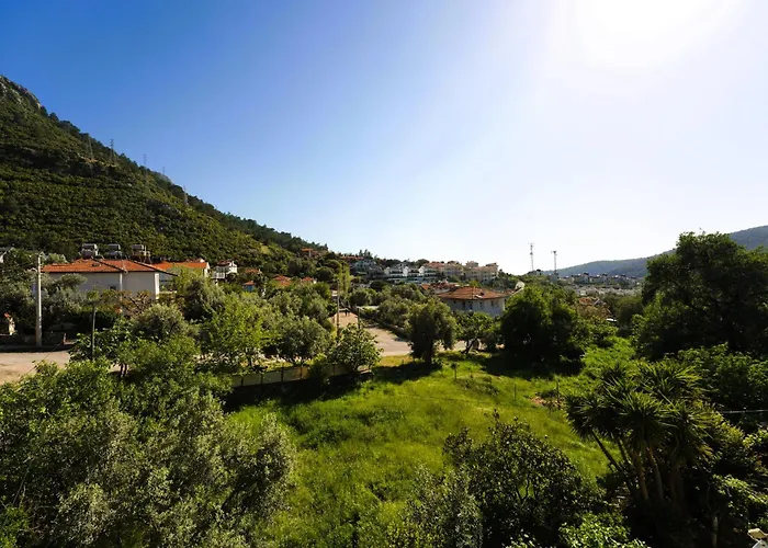 The Tulip Teras * فتحية